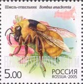 FindYourStampsValue: Russia: Russian Federation, Bees - Bombus Anachoreta