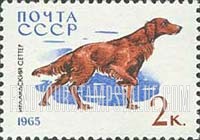 FindYourStampsValue: Russia: USSR, Dogs - Irish Setter