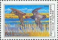 FindYourStampsValue: Russia: USSR, Duck Conservation - Netta Rufina