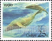 FindYourStampsValue: Russia: USSR, Sea Mammals - Nothern Sea Lions