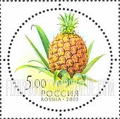 FindYourStampsValue: Russia: Russian Federation, Fruit - Pineappple