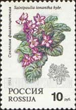 FindYourStampsValue: Russia: Russian Federation, Flowers - Saintpaulia Ionantha