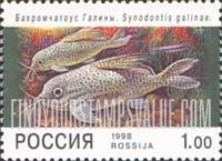 FindYourStampsValue: Russia: Russian Federation, Aquarium Fish - Synodontis Galinae