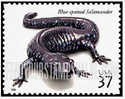 FindYourStampsValue: REPTILES AND AMPHIBIANS - Blue-Spotted Salamander, Self-Adhesive stamp