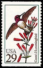 FindYourStampsValue: HUMMINGBIRDS - Costa's, booklet stamp