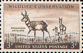 FindYourStampsValue: WILDLIFE CONSERVATION - Pronghorn Antelope
