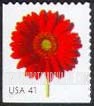 FindYourStampsValue: FLOWER BLOSSOMS - Red Gerbera Daisy, Self-Adhesive Booklet Stamp