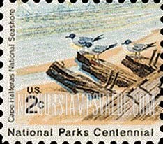 FindYourStampsValue: CAPE HATTERAS NATIONAL SEASHORE - Laughing Gulls on Driftwood