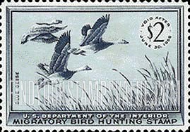 FindYourStampsValue: BLUE GEESE