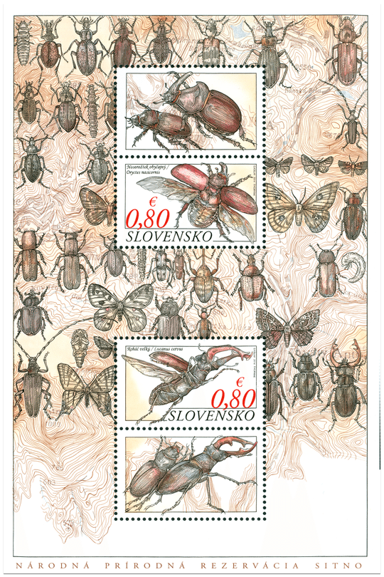 Endangered beetles of Slovakia