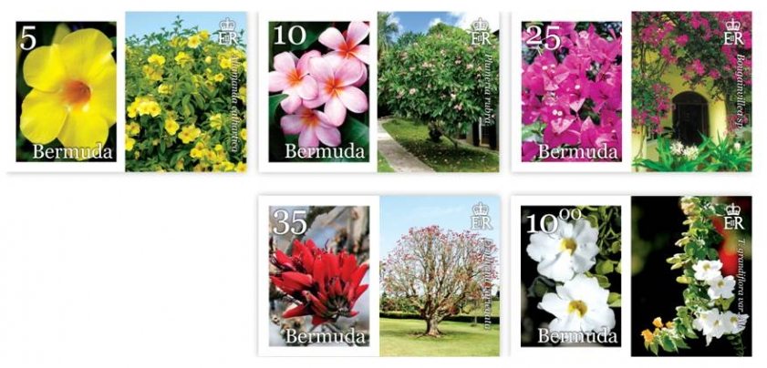 Bermuda In Bloom Part 1 – new issue of the Bermuda Philatelic Bureau