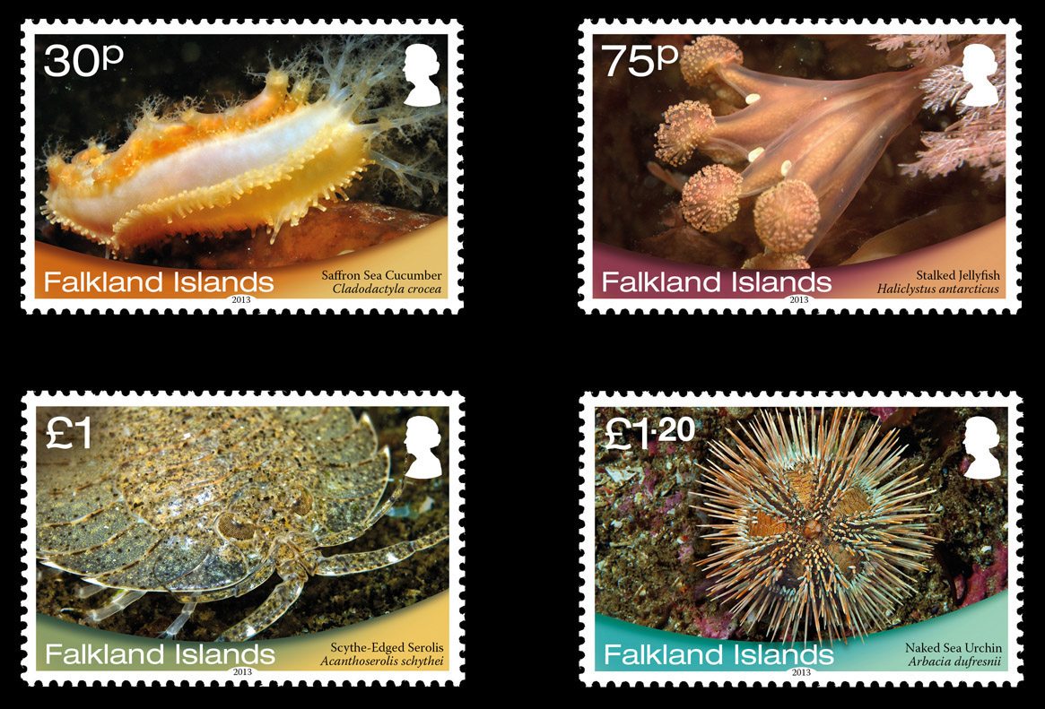 Falkland Islands - Shallow Marine Surveys Group