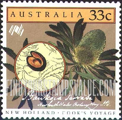 FindYourStampsValue: Cook’s New Holland Expedition: Banksia serrata