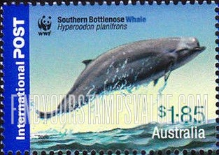 FindYourStampsValue: Worldwide Fund for Nature(WWF): Southern bottlenose whale