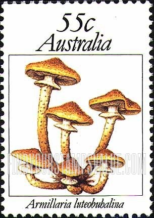 FindYourStampsValue: Fungi: Armillaria luteobubalina