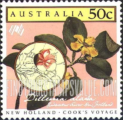 FindYourStampsValue: Cook’s New Holland Expedition: Dillenia alata