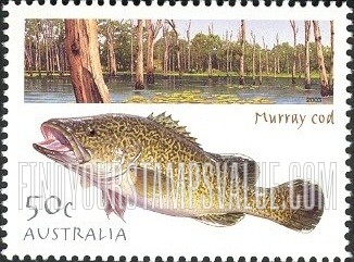 FindYourStampsValue: Fish: Murray cod