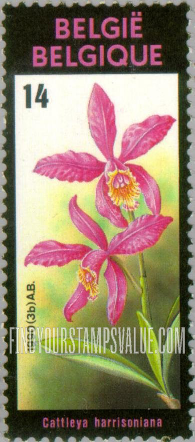 FindYourStampsValue: Ghent Flower Festival: Cattleya harrisoniana
