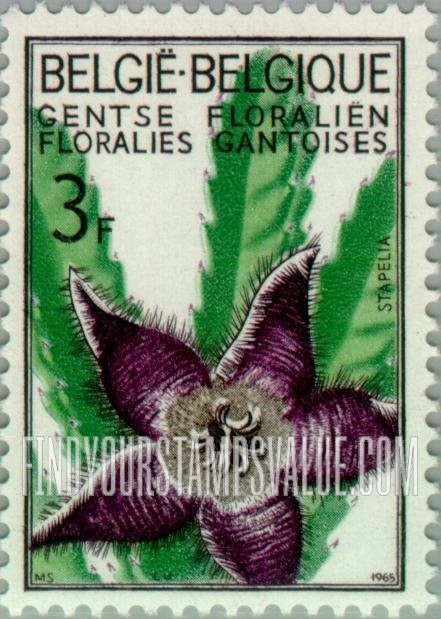 FindYourStampsValue: Stapelia
