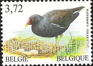 FindYourStampsValue: Bird: Poule d’Eau