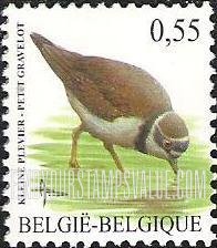 FindYourStampsValue: Bird: Petit gravelot