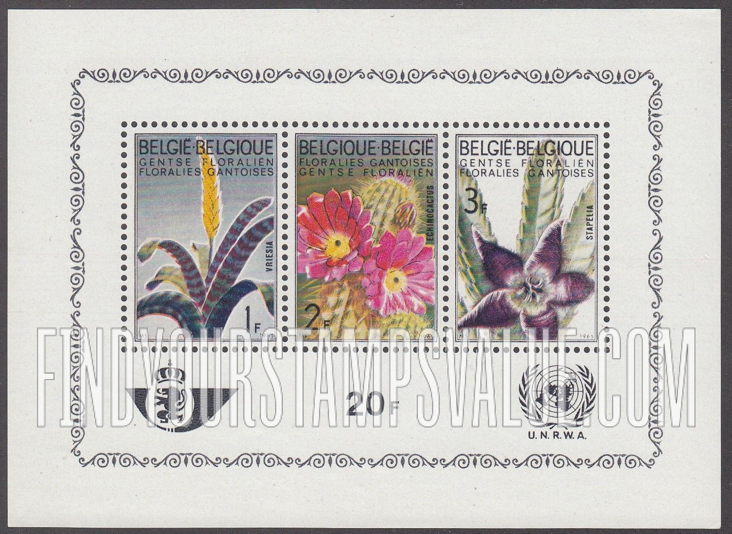 FindYourStampsValue: Vriesia, Echinocactus, Stapelia