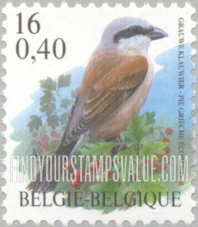 FindYourStampsValue: Bird: Pie grièche écorcheur
