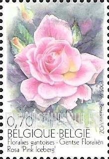 FindYourStampsValue: Rose Varieties: Pink Iceberg