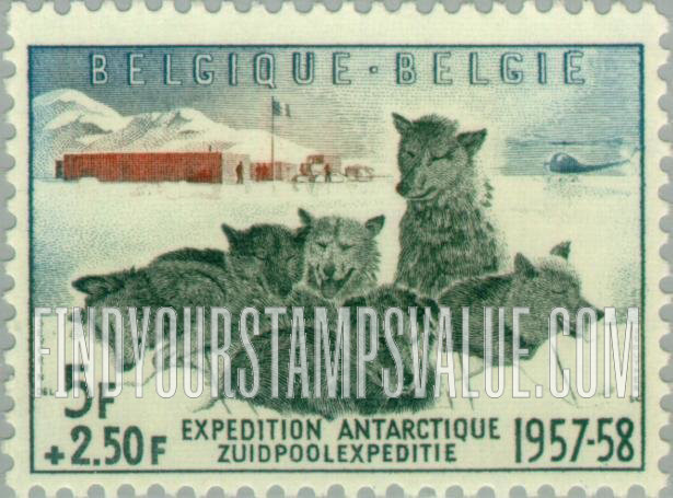 FindYourStampsValue: Semi-Postal: Dogs and Antarctic Camp