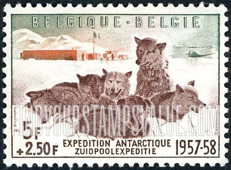 FindYourStampsValue: Semi-Postal: Dogs and Antarctic Camp