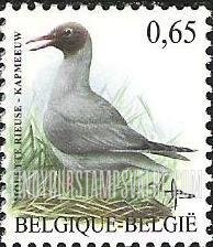 FindYourStampsValue: Bird: Mouette rieuse