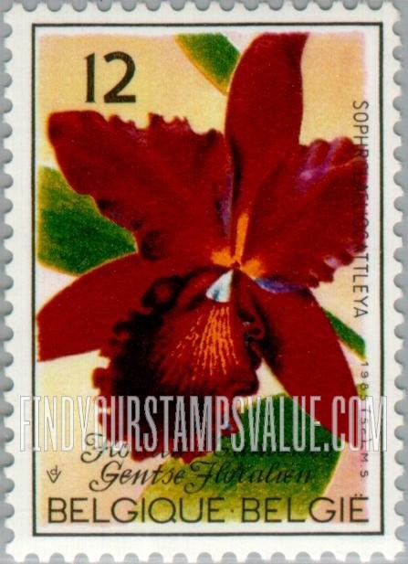 FindYourStampsValue: Ghent Flower Festival, Orchids: Suphrolaelio cattlea riffe