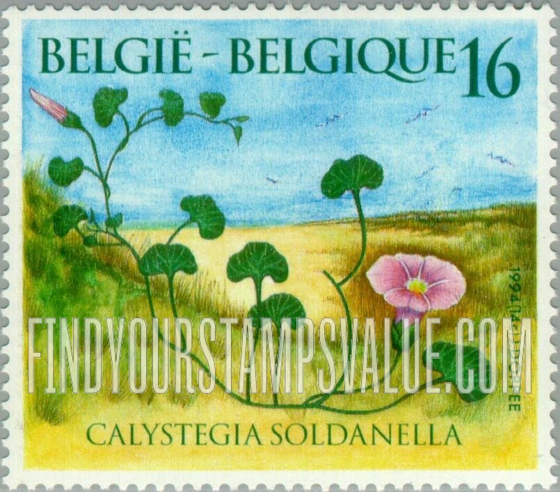 FindYourStampsValue: Wildflowers: Calystegia soldanella
