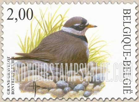 FindYourStampsValue: Bird: Grand gravelot