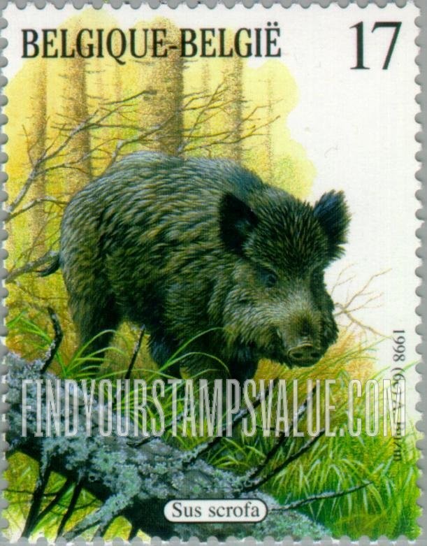 FindYourStampsValue: Wildlife: Sus scrofa