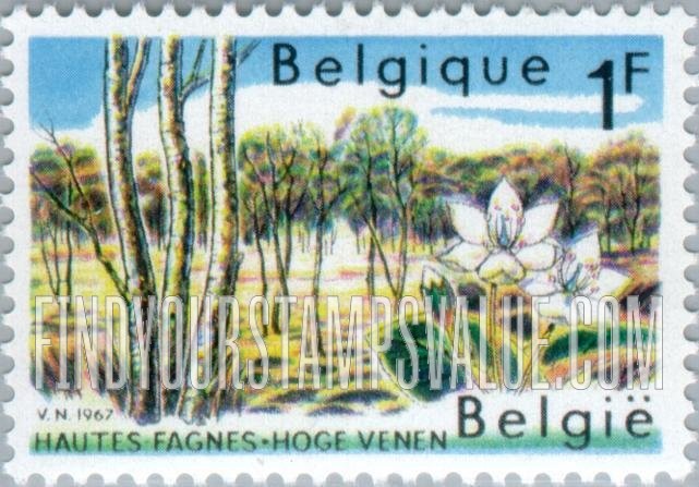 FindYourStampsValue: Birches and Trientalis