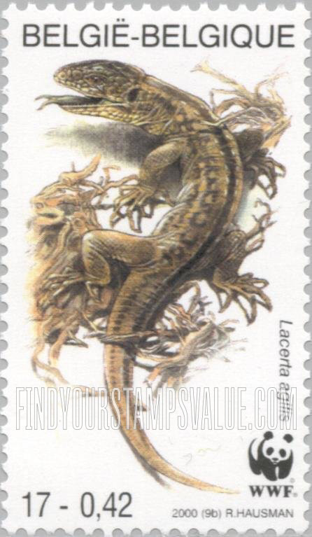 FindYourStampsValue: Worldwide Fund for Nature, Endangered amphibians and reptiles: Lacerta agilis