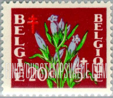 FindYourStampsValue: Semi-Postal: Gentian