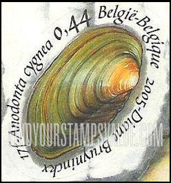 FindYourStampsValue: Shells and Snails: Exterior of Anodonta cygnea