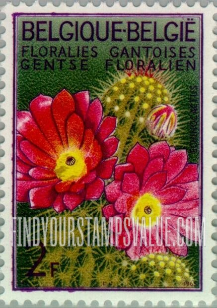 FindYourStampsValue: Echinocactus