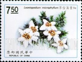 FindYourStampsValue: Native Plants: Leontopodium microphyllum - 台湾植物: 细叶薄雪草