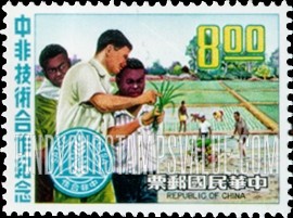 FindYourStampsValue: Chinese teaching rice farming to Africans - 中国人向非洲人教授稻米种植