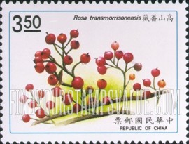 FindYourStampsValue: Native Plants: Rosa transmorrisonensis - 台湾植物: 高山蔷薇