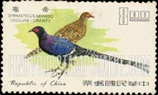 FindYourStampsValue: Mikado pheasants - 台湾帝雉