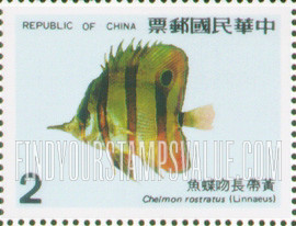 FindYourStampsValue: Coral-reef Fish: Chelmon rostratus - 珊瑚礁鱼类: 黄带长吻蝶鱼
