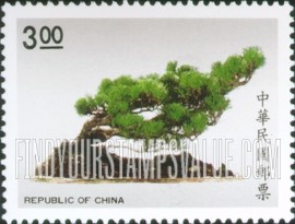 FindYourStampsValue: Bonsai: Pinus thunbergii - 盆景: 黑松