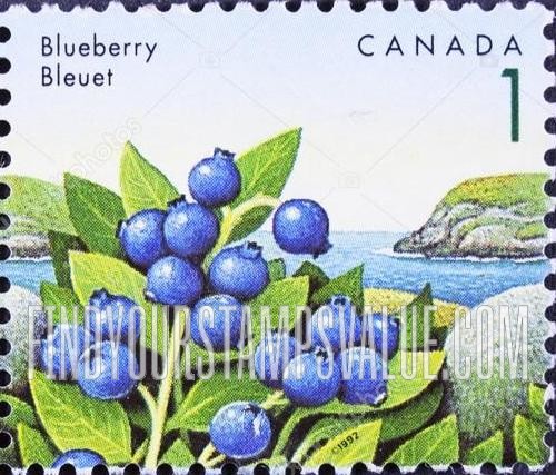 FindYourStampsValue: Edible Berries: Blueberry