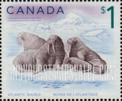 FindYourStampsValue: Atlantic walrus