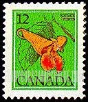 FindYourStampsValue: Jewelweed