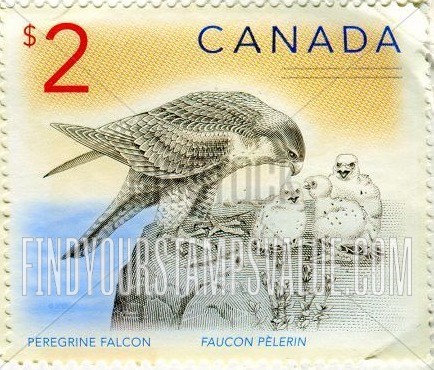 FindYourStampsValue: Peregrine falcons